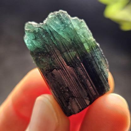 Blue Tourmaline Crystal 14.19g