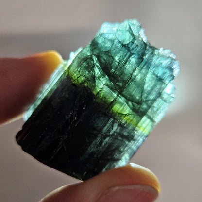 Blue Tourmaline Crystal 14.19g
