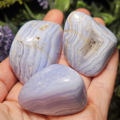 Blue Lace Agate from Namibia (1.25"