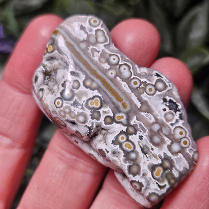 Orbicular Ocean Jasper Palm Stone, (1.25