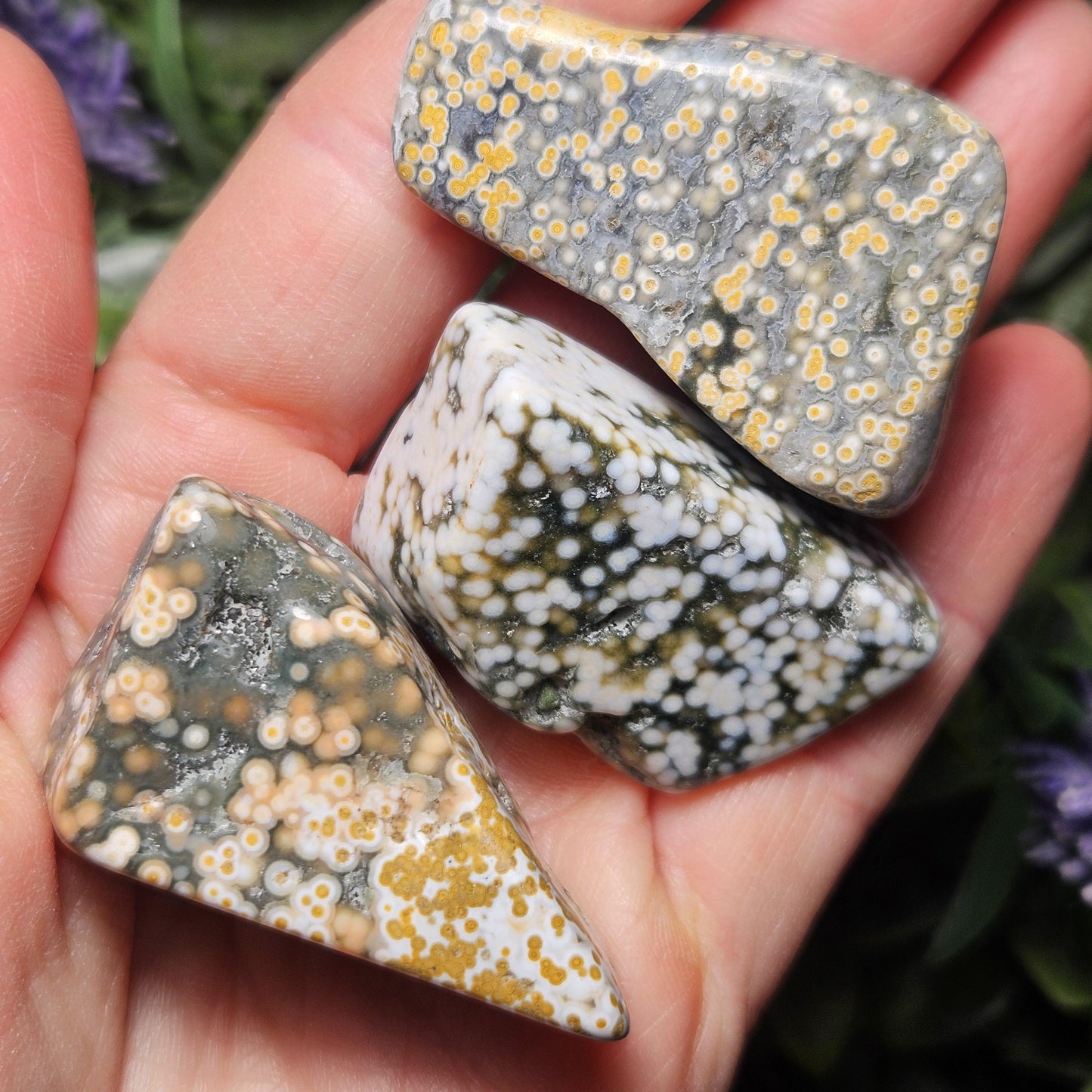Orbicular Ocean Jasper Palm Stone, (1.25