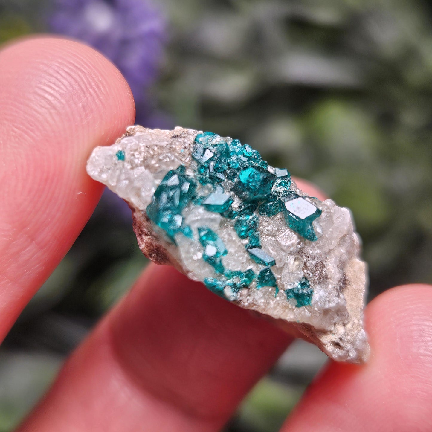 Kazakhstan Dioptase Cluster, RARE Locale