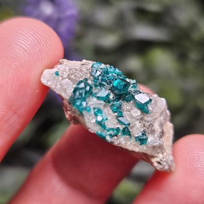 Kazakhstan Dioptase Cluster, RARE Locale