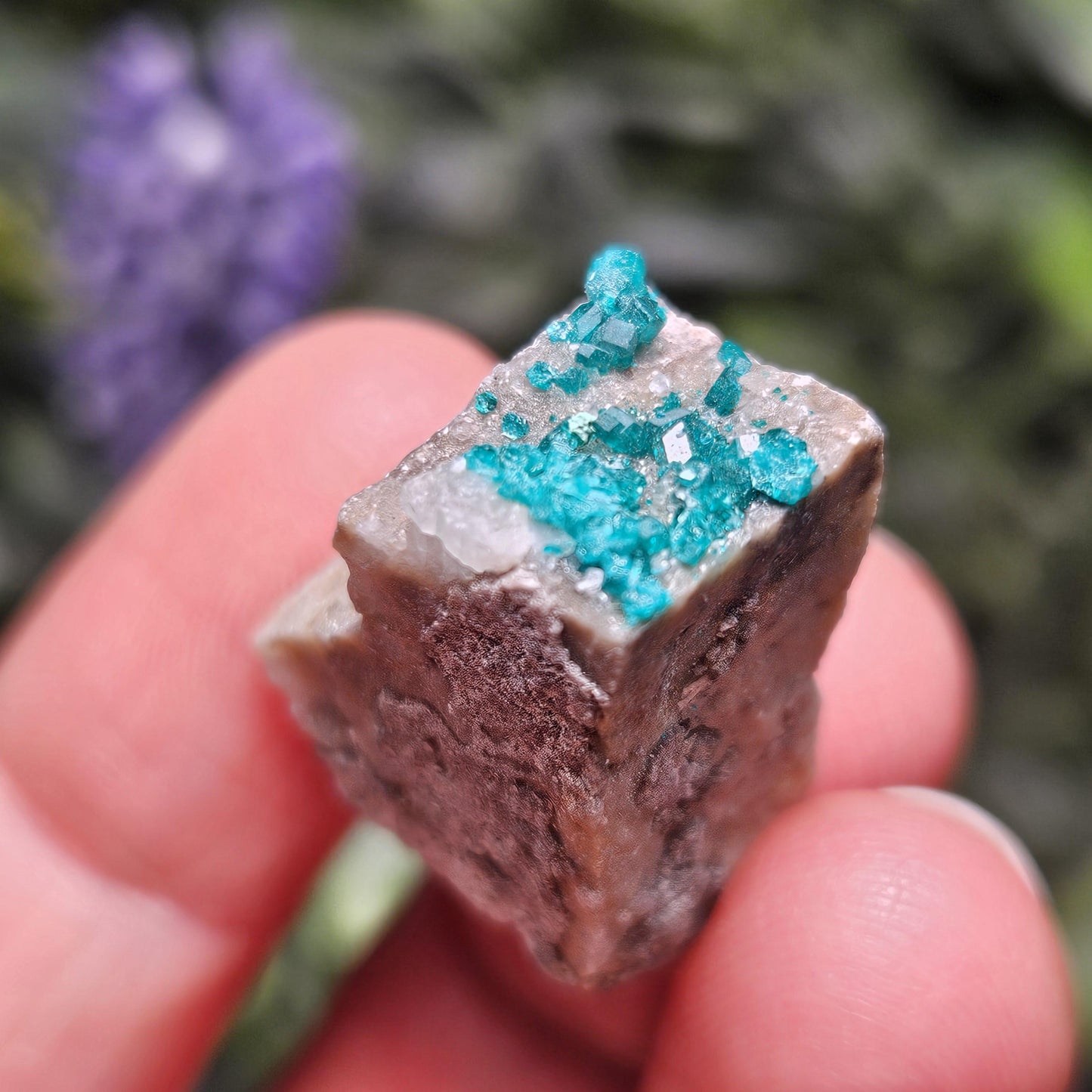 Kazakhstan Dioptase Cluster, RARE Locale
