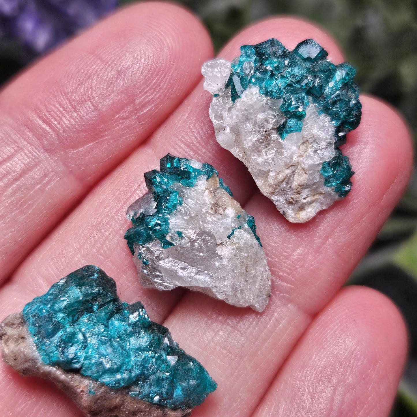 Kazakhstan Dioptase Cluster, RARE Locale