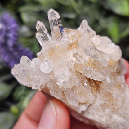 Colombian Lemurian Quartz Cluster, Raw Quartz Crystal from Colombia