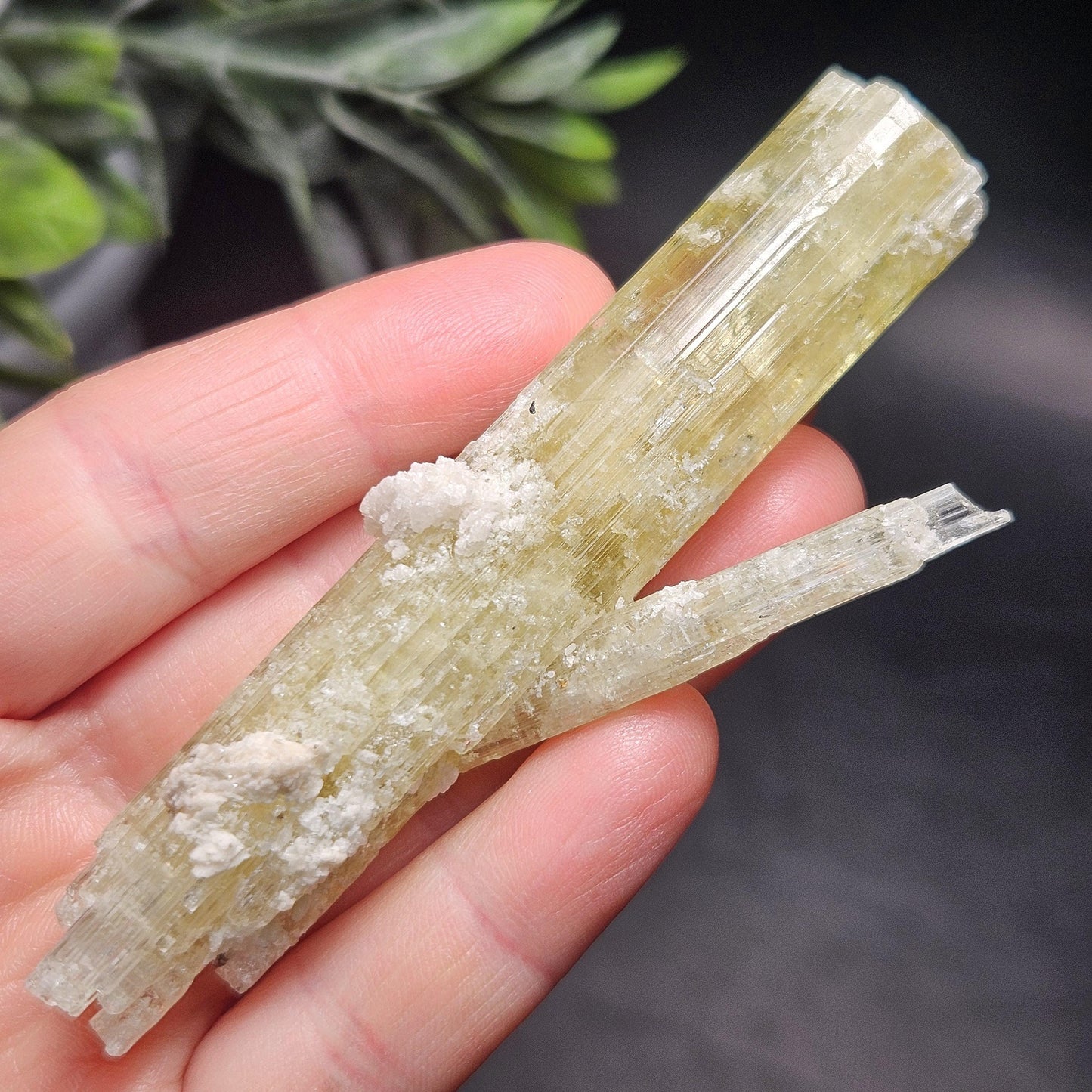 Heliodor Crystal Specimen 43.85g, Brazilian Gold Heliodor Specimen