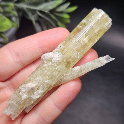 Heliodor Crystal Specimen 43.85g, Brazilian Gold Heliodor Specimen