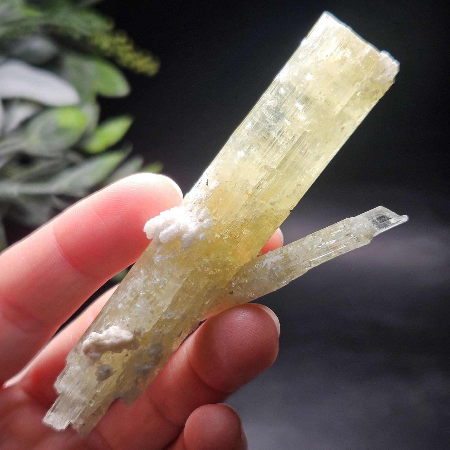Heliodor Crystal Specimen 43.85g, Brazilian Gold Heliodor Specimen