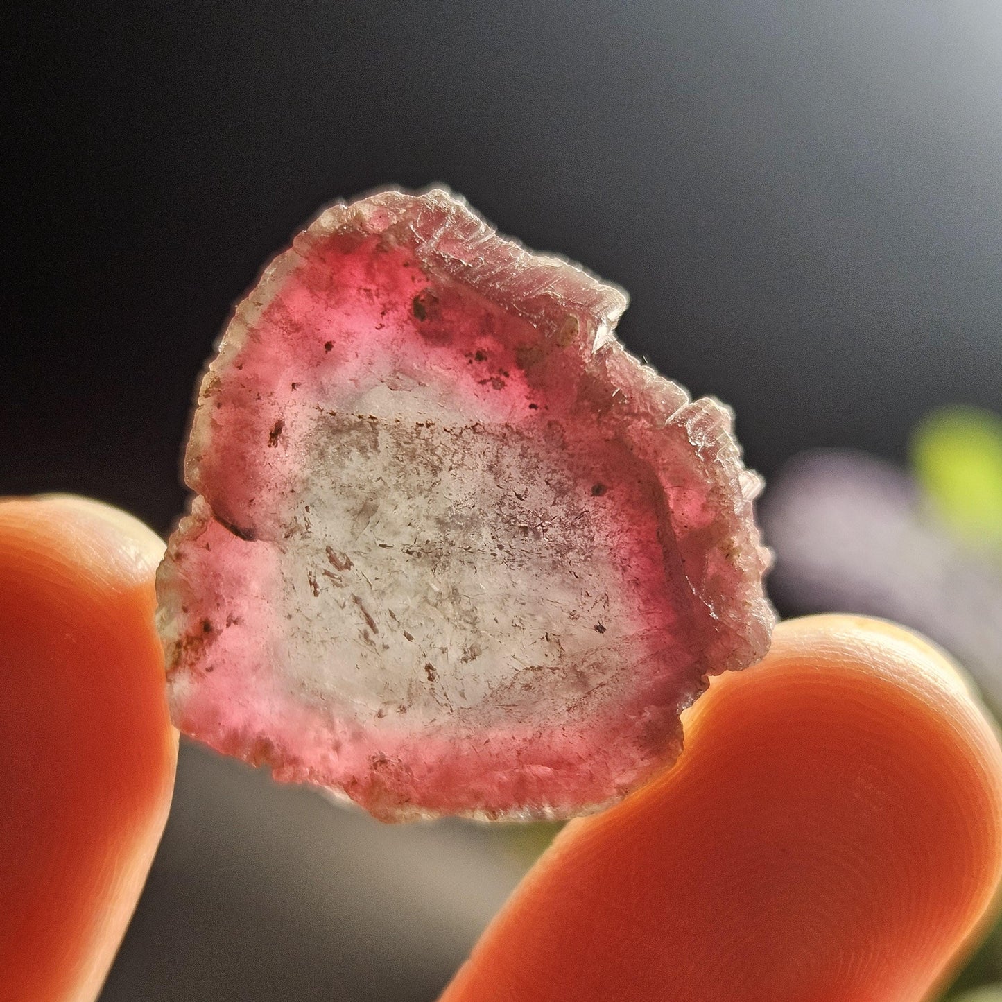 Purple & Pink Tourmaline Slice 5.40g, Watermelon Tourmaline Crystal – Polished Tourmaline Slice