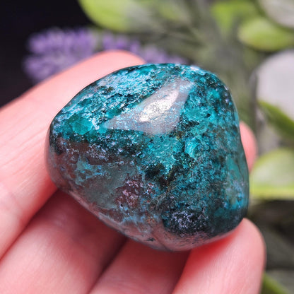 Polished Dioptase Crystal from the Congo 38.36g, Congo Dioptase Specimen, DRC Dioptase Crystal