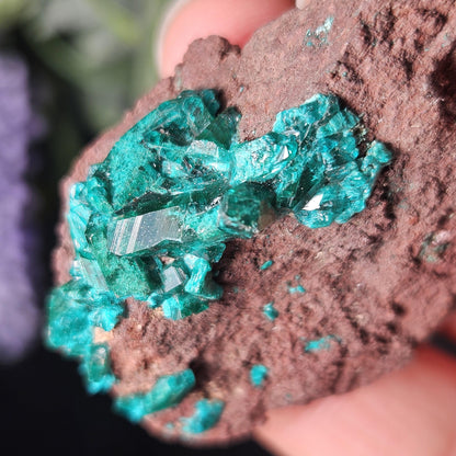 Dioptase Crystal Specimen 15.48g, Raw Congo Dioptase Stone