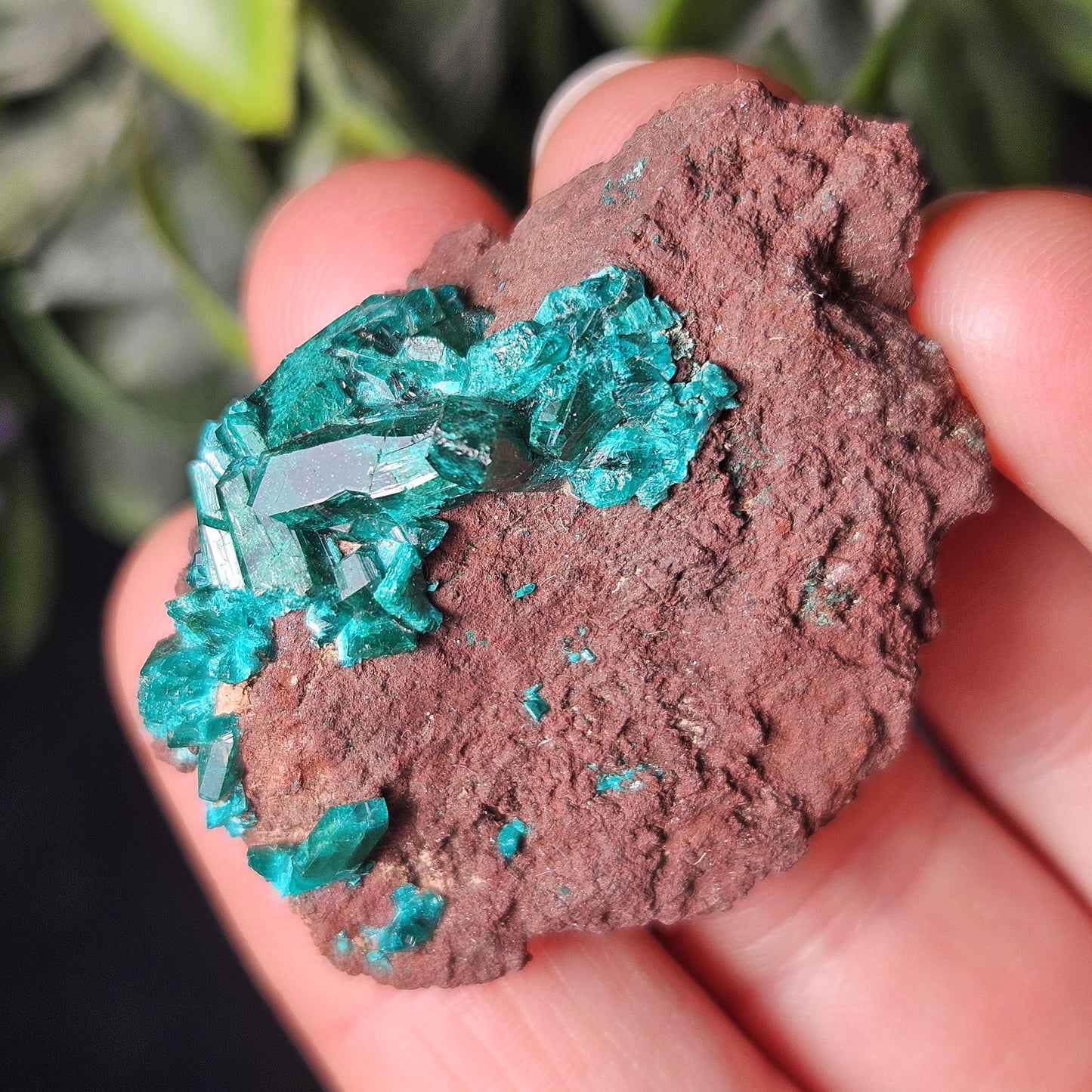 Dioptase Crystal Specimen 15.48g, Raw Congo Dioptase Stone