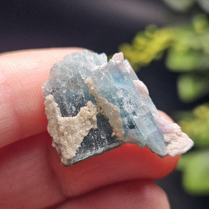 Blue Tourmaline Crystal Specimen from Brazil (3