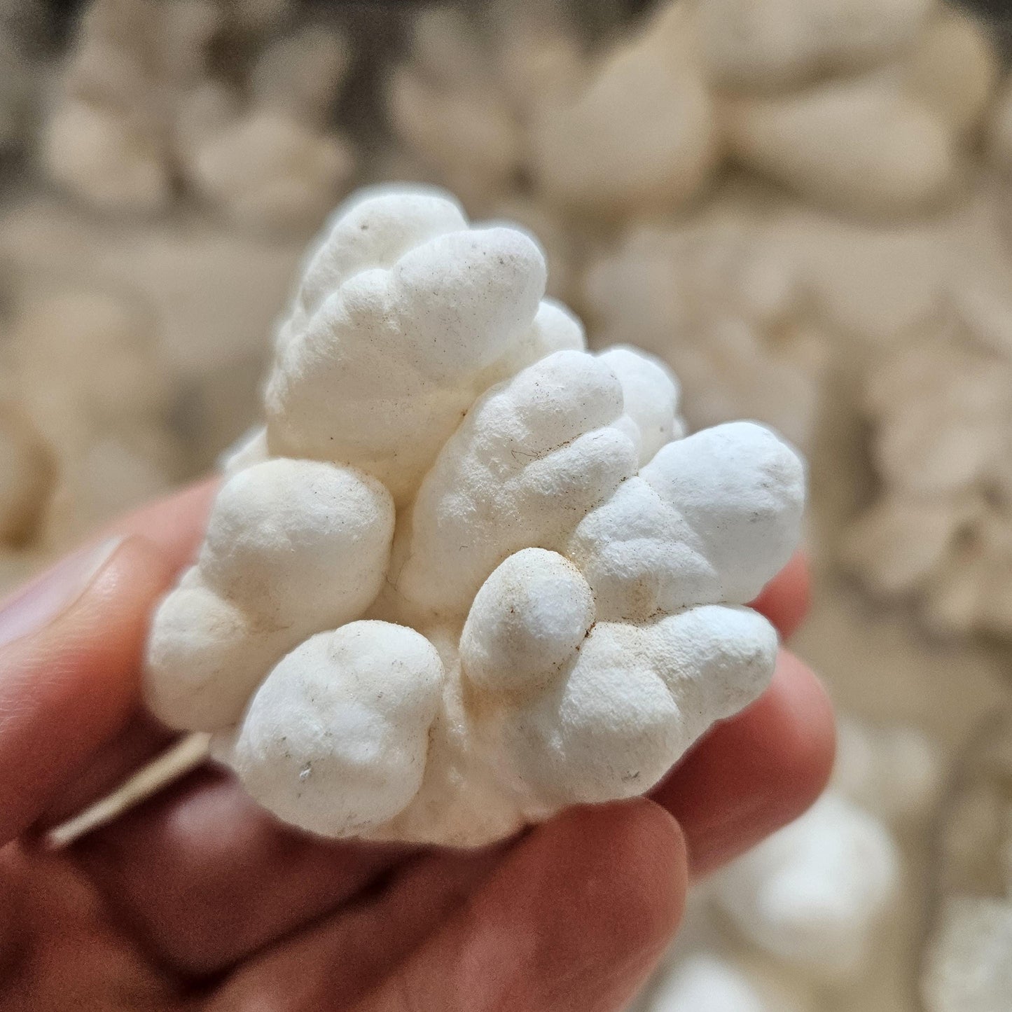 Cave Calcite Stalactite Clusters from Morocco