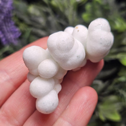 Cave Calcite Stalactite Clusters from Morocco