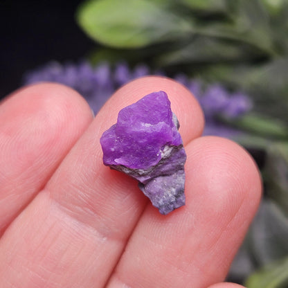 Gel Sugilite Crystal 0.92g, OLD STOCK Raw South African Sugilite Stone Specimen