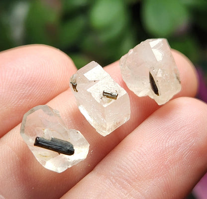 Clear Topaz with Tourmaline Blades – Rare Pakistan Raw Crystal Specimen Combo