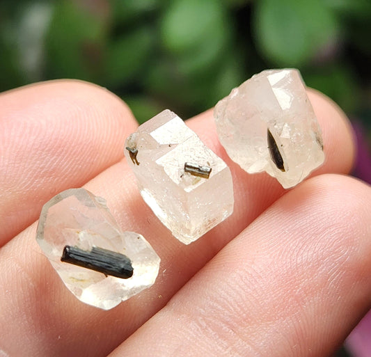 Clear Topaz with Tourmaline Blades – Rare Pakistan Raw Crystal Specimen Combo