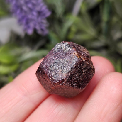 Raw Garnet Dodecahedron Crystal (Choose Your Size)