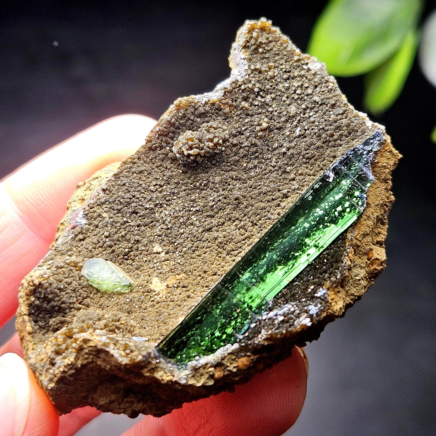 Vivianite PHANTOM Crystal with Ludlamite Specimen 38.12g, Vivianite Crystal Cluster, Raw Blue
