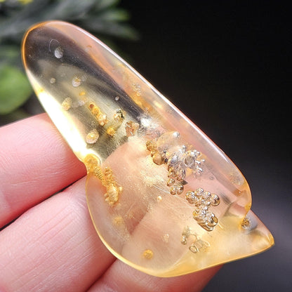 Amber with Bugs & Static Enhydro 6.09g