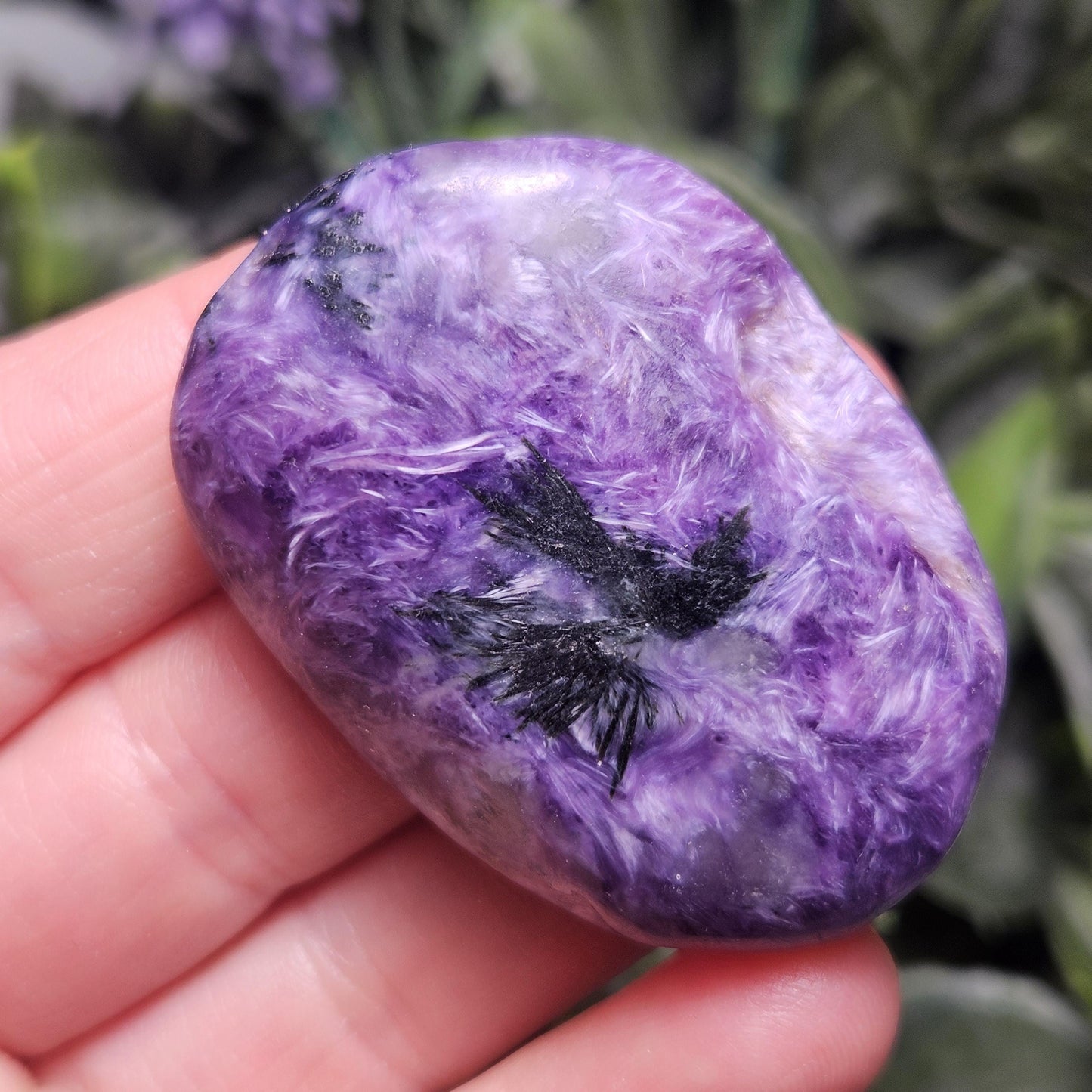 Charoite Polished Stones 15