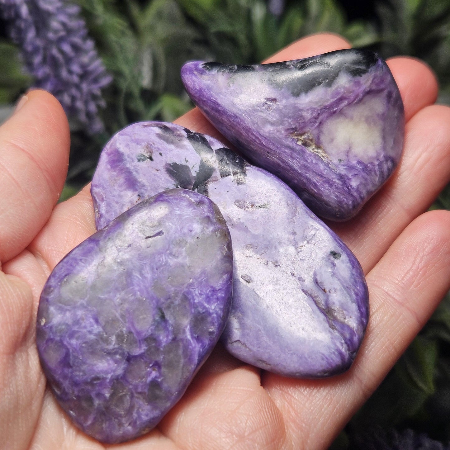 Charoite Polished Stones 15