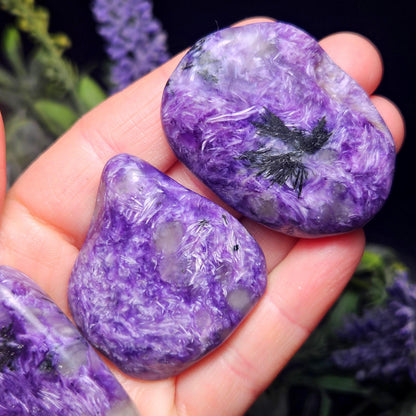 Charoite Polished Stones 15