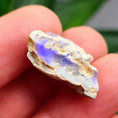 Australian Blue Opal from Lightning Ridge 2.83g, Opal Crystal Specimen from Australia