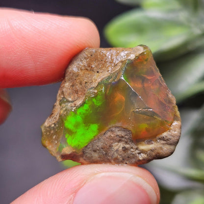 Raw Opal Specimen 5.58g, Welo Opal Crystal from Ethiopia