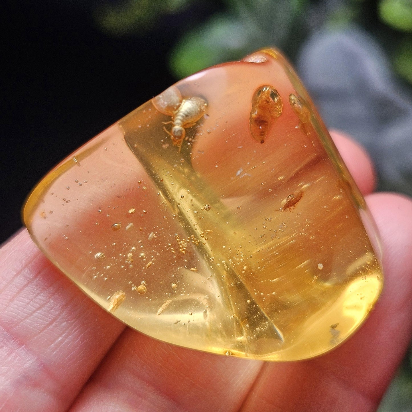Amber with Bugs & Static ENHYDRO 11.2g, Polished Amber Specimen from Colombia