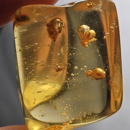 Amber with Bugs & Static ENHYDRO 11.2g, Polished Amber Specimen from Colombia