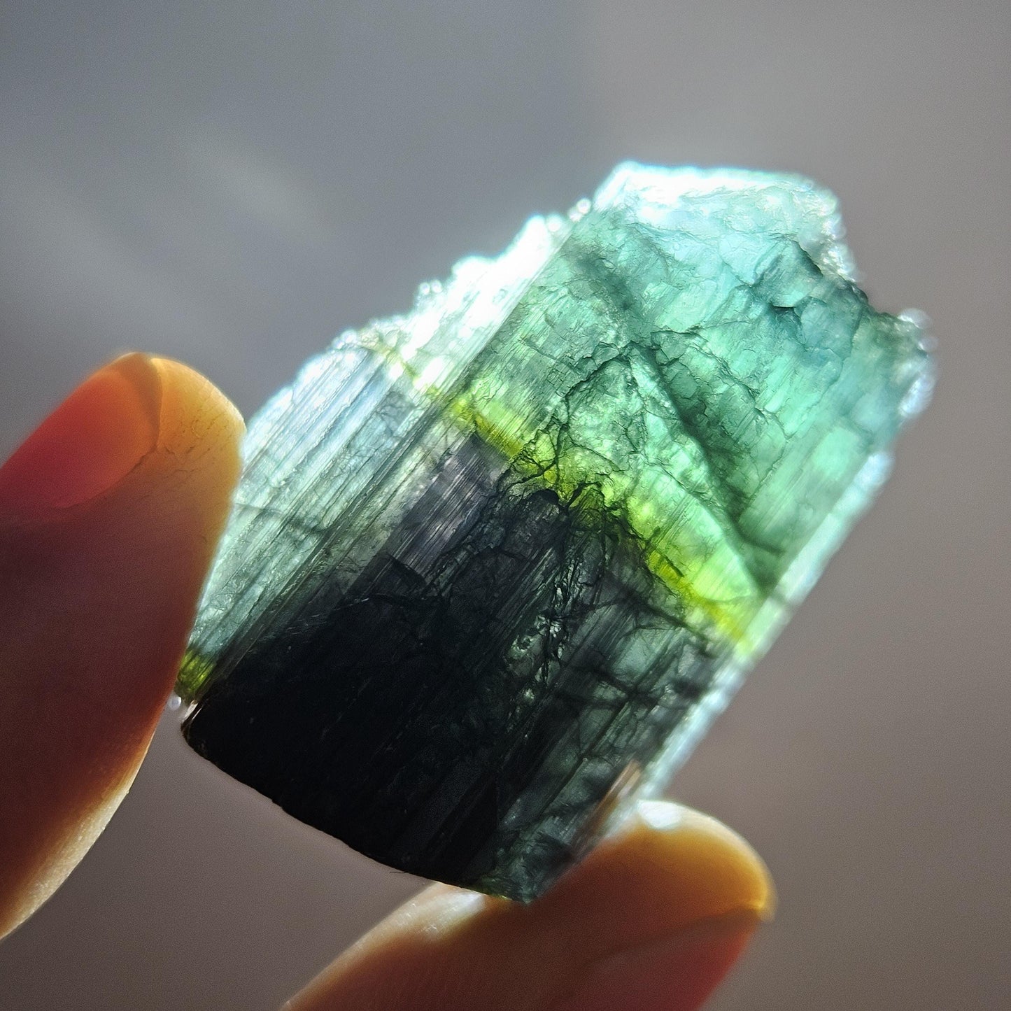 Blue Tourmaline Crystal 14.19g