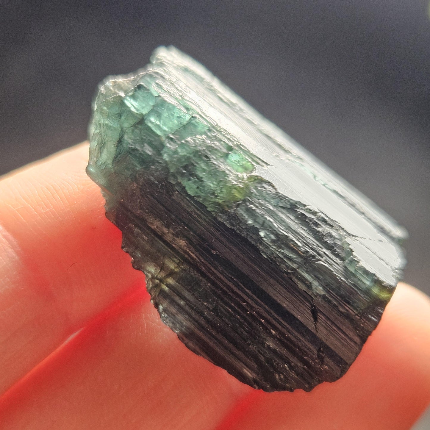 Blue Tourmaline Crystal 14.19g