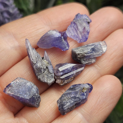 Raw Tanzanite Crystal Specimen (5
