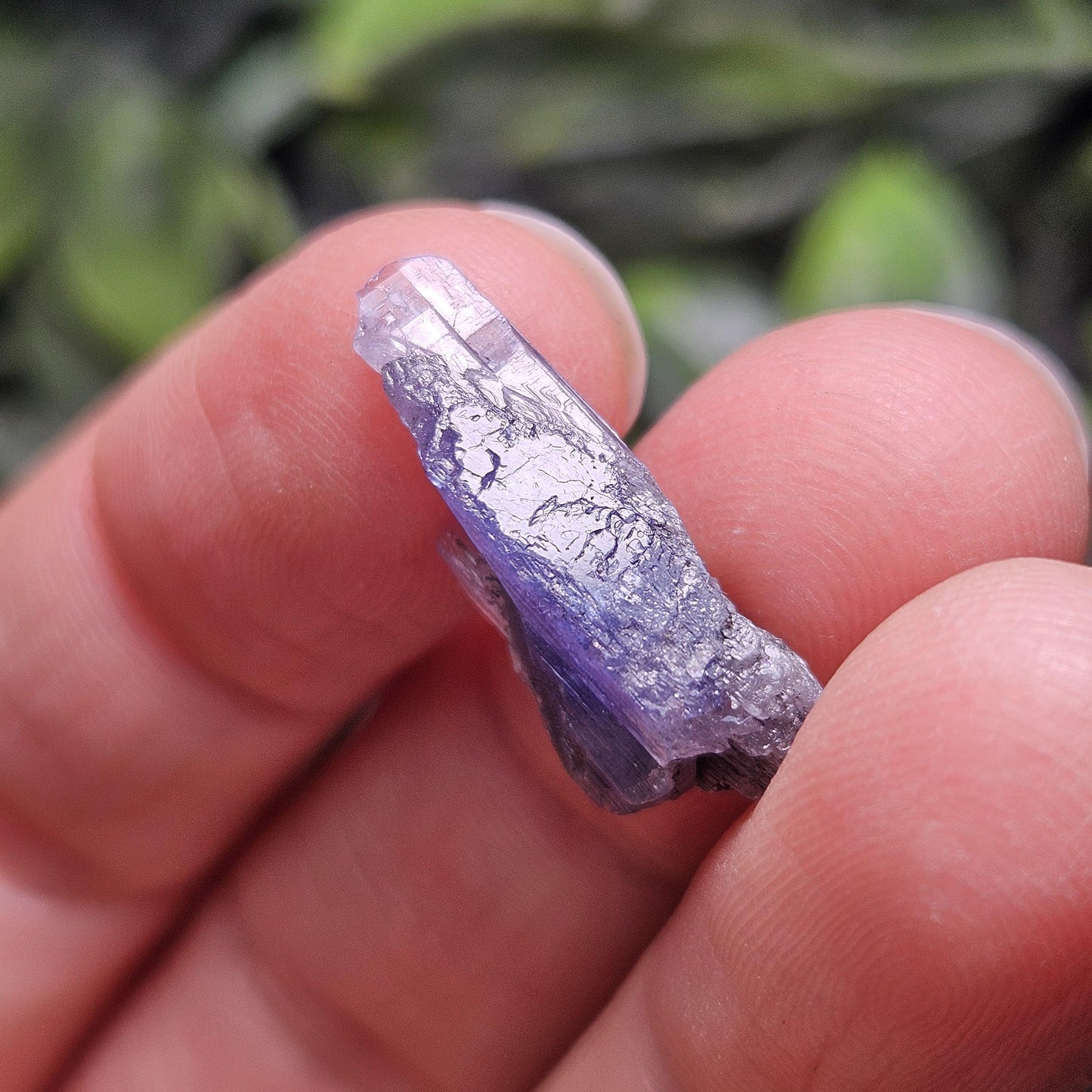 Raw Tanzanite Crystal Specimen (5