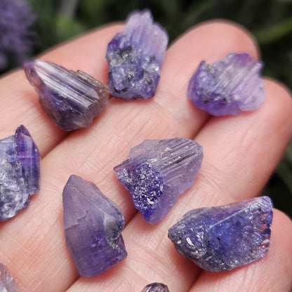 Raw Tanzanite Crystal Specimen (5