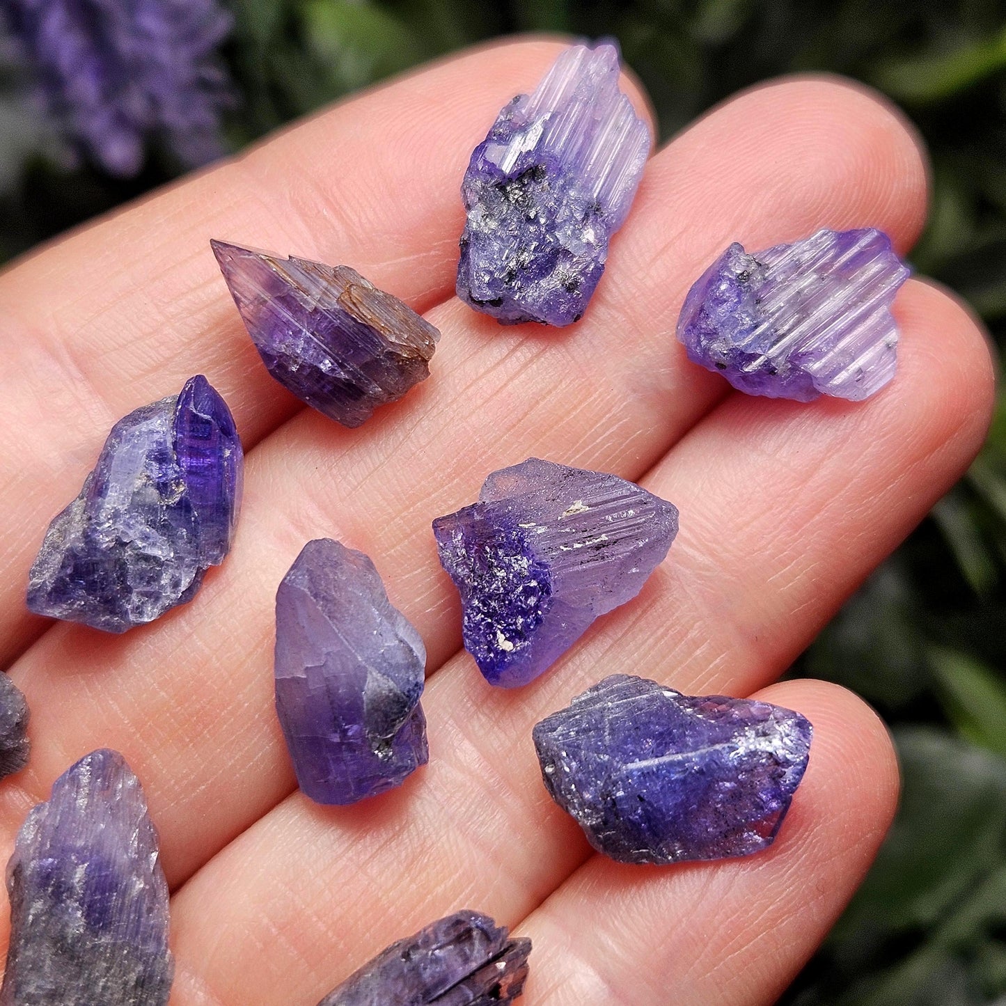Raw Tanzanite Crystal Specimen (5