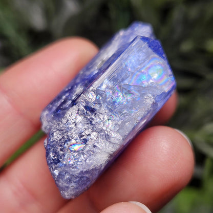 HUGE Tanzanite Crystal with Rainbows 30.46g