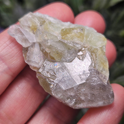Datolite Crystal with Rainbow Inclusions 29.45g