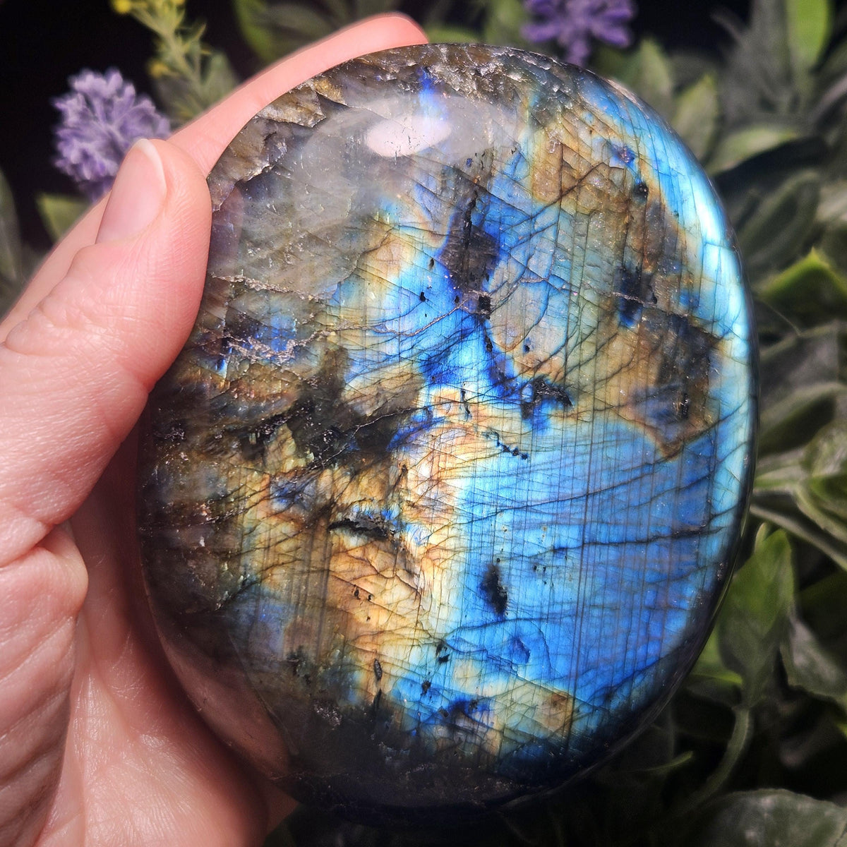 MASSIVE Labradorite Palm Stone 1.19lbs, Madagascar Labradorite Polished Crystal