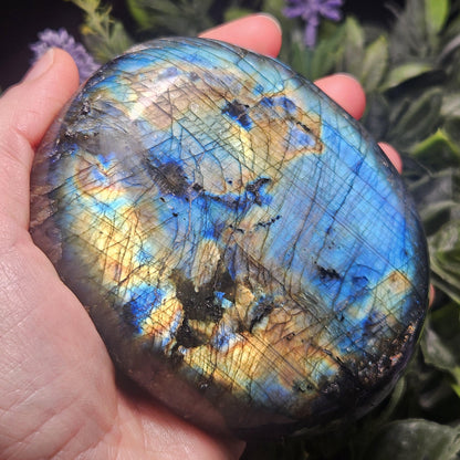 MASSIVE Labradorite Palm Stone 1.19lbs, Madagascar Labradorite Polished Crystal