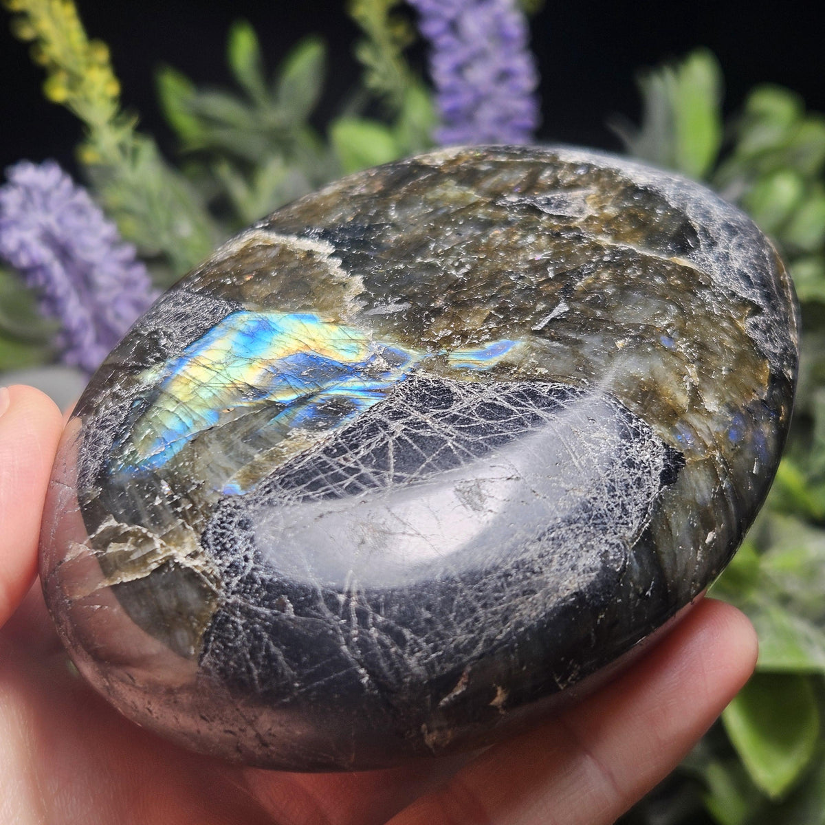 MASSIVE Labradorite Palm Stone 1.19lbs, Madagascar Labradorite Polished Crystal