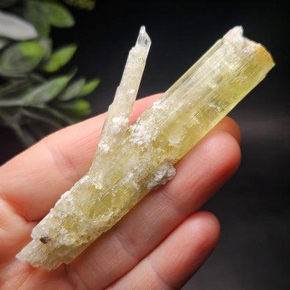 Heliodor Crystal Specimen 43.85g, Brazilian Gold Heliodor Specimen