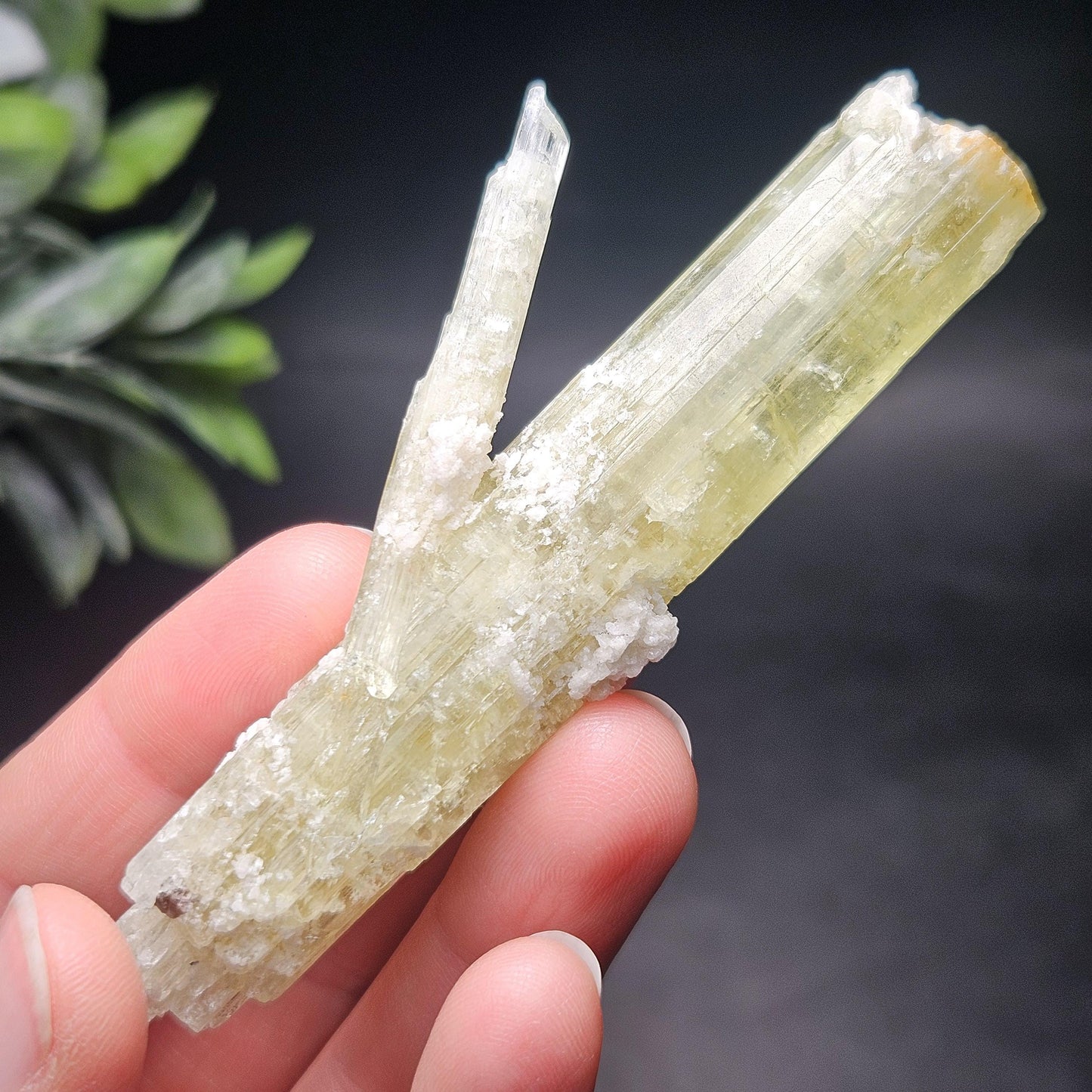Heliodor Crystal Specimen 43.85g, Brazilian Gold Heliodor Specimen