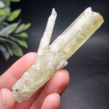 Heliodor Crystal Specimen 43.85g, Brazilian Gold Heliodor Specimen