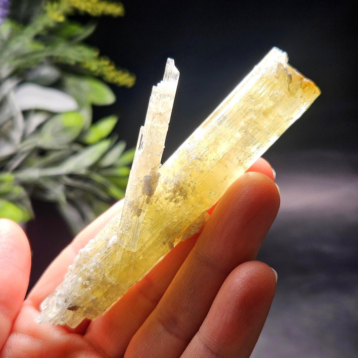 Heliodor Crystal Specimen 43.85g, Brazilian Gold Heliodor Specimen
