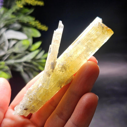 Heliodor Crystal Specimen 43.85g, Brazilian Gold Heliodor Specimen