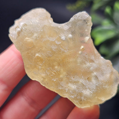 Libyan Desert Glass with Cristobalite Spheres 38.29g
